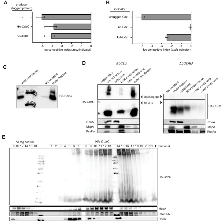 Figure 5—figure supplement 1.