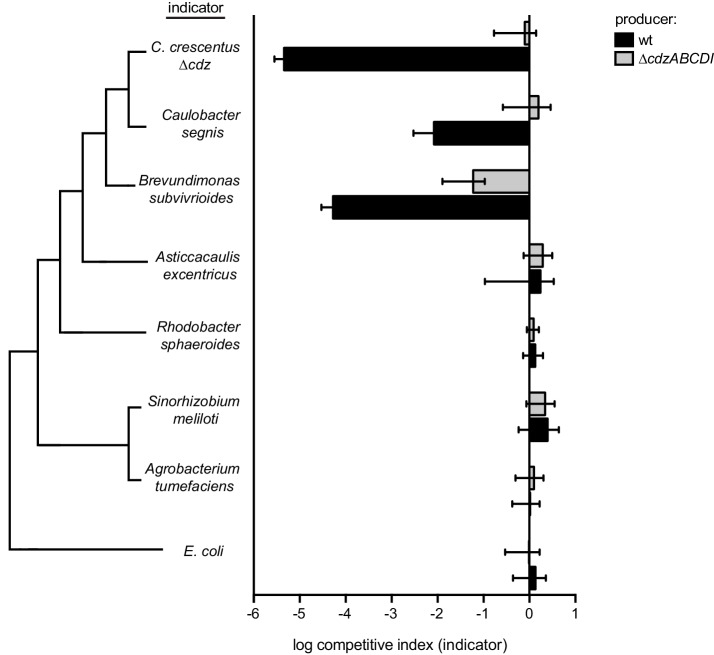 Figure 7—figure supplement 1.