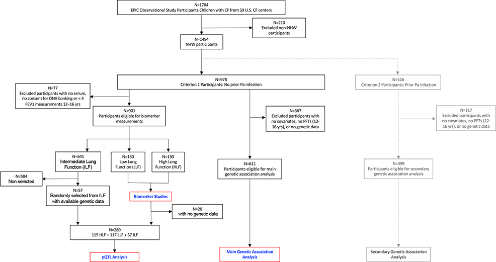 Figure 1b.