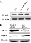 Fig. 10.