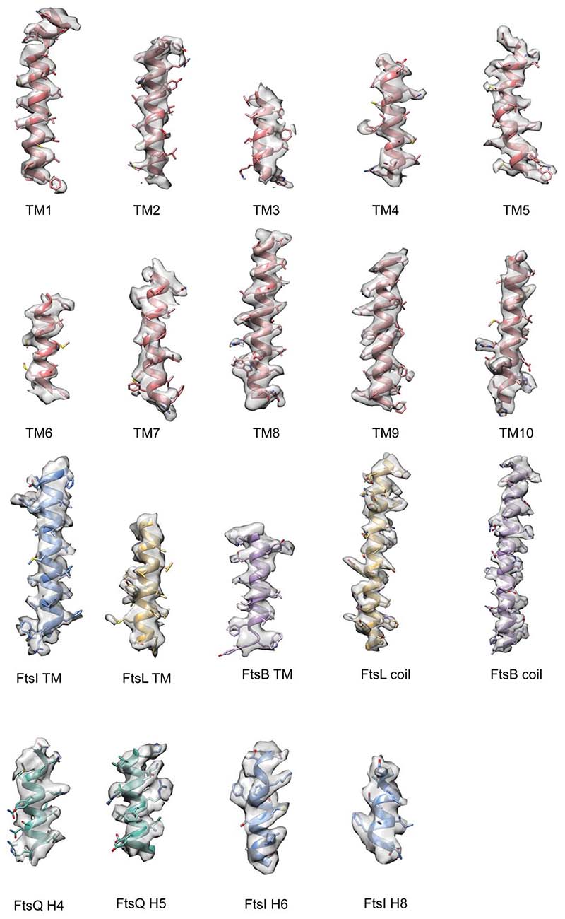 Extended Data Fig. 3