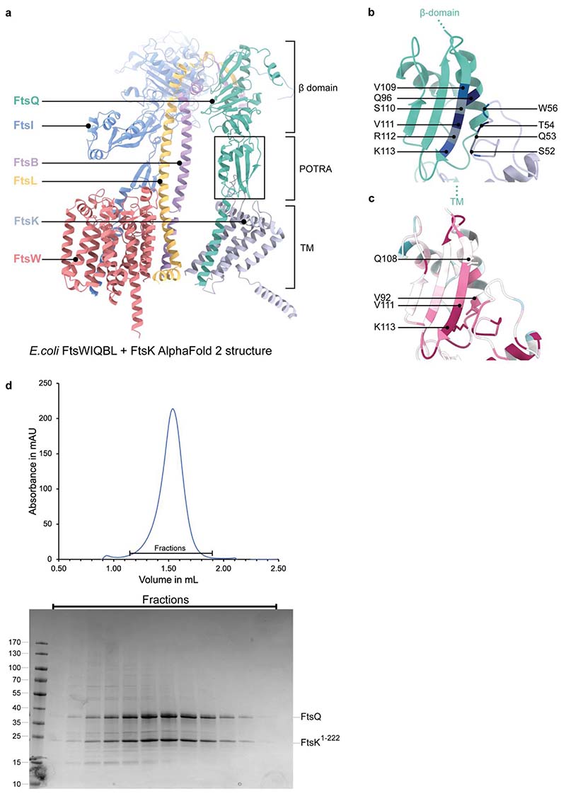 Extended Data Fig. 8