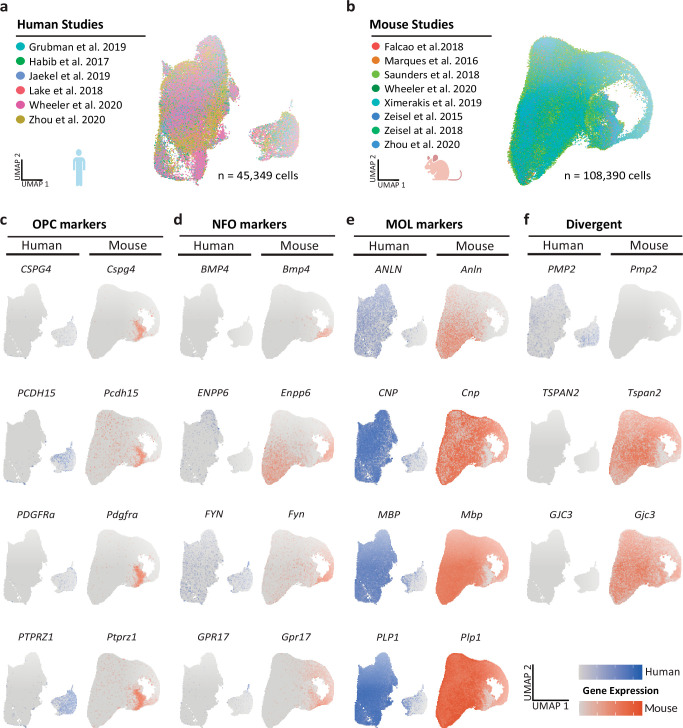 Figure 3—figure supplement 1.