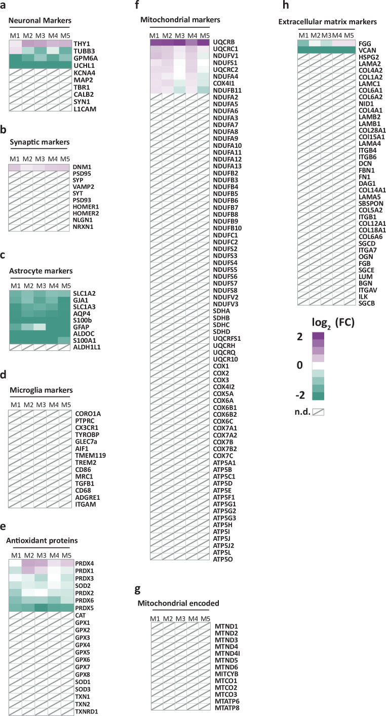 Figure 1—figure supplement 3.