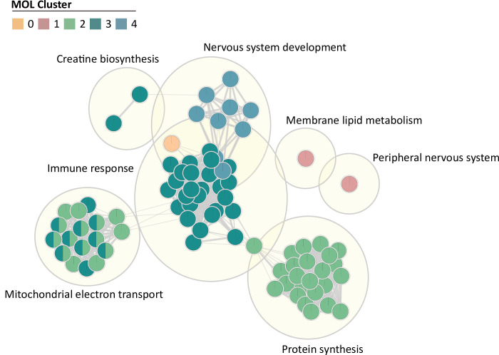 Figure 4—figure supplement 1.