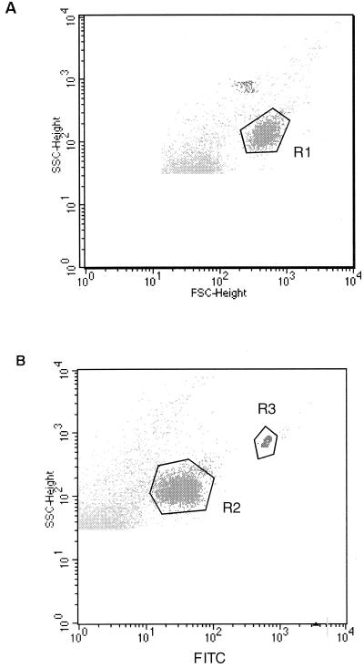 FIG. 1