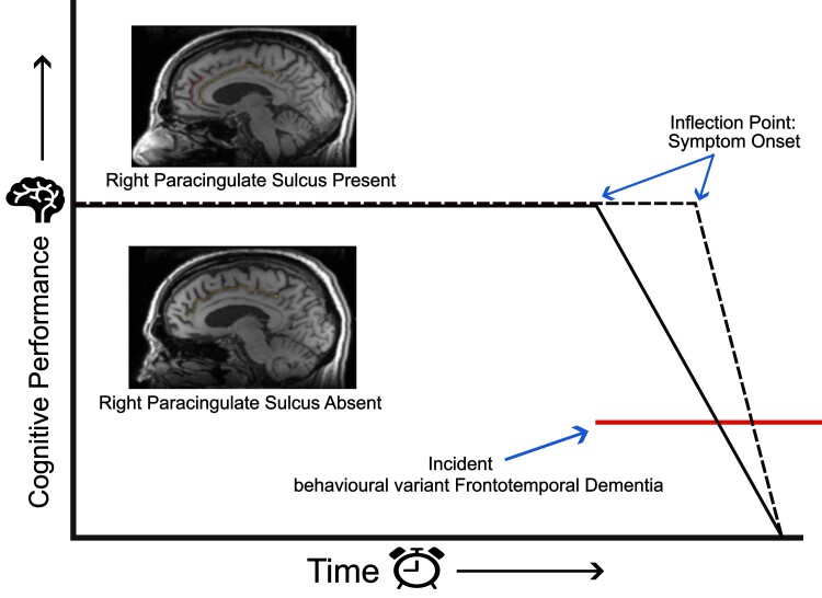 Graphical Abstract