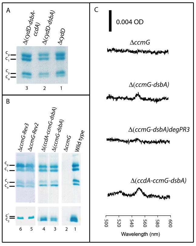 Fig. 3