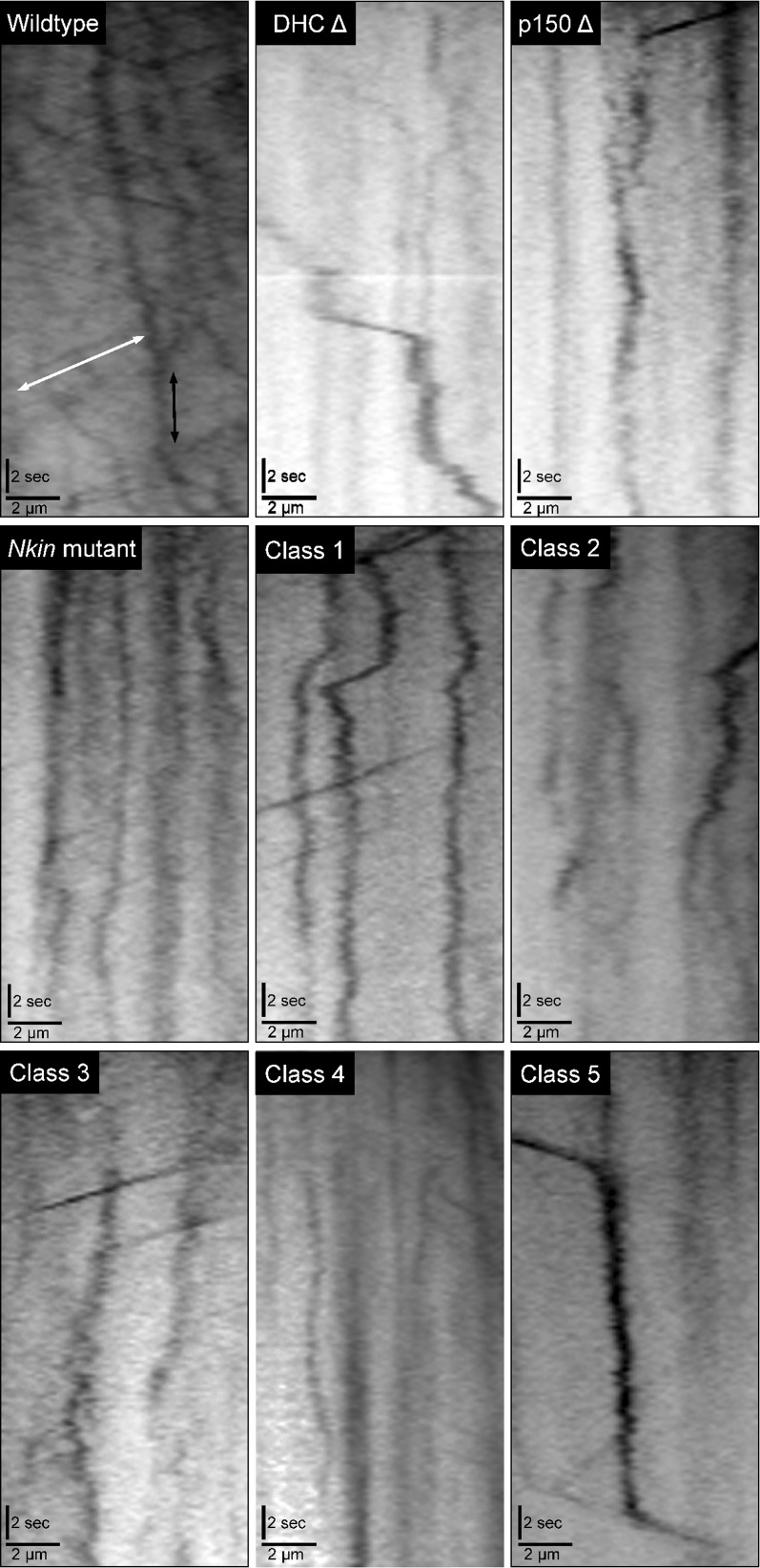 Figure 4 