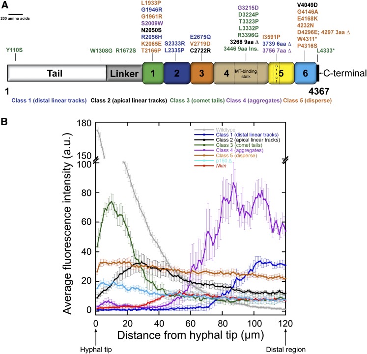 Figure 3 