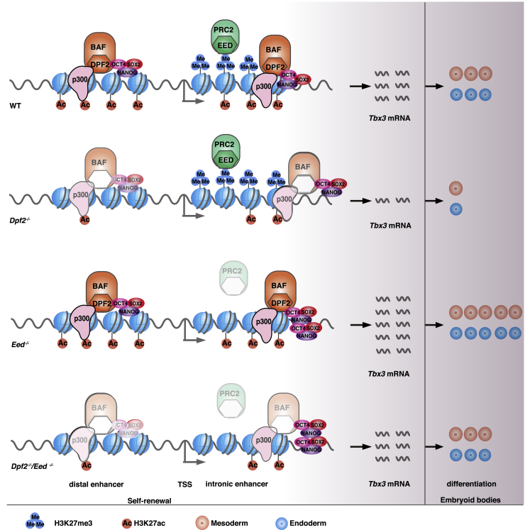 Figure 7