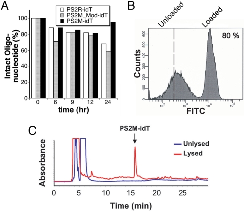 Fig. 3.