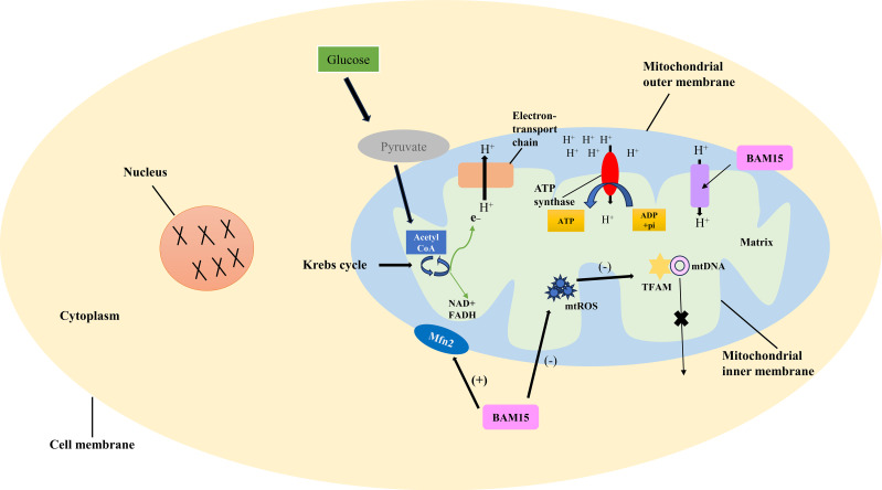 Figure 1