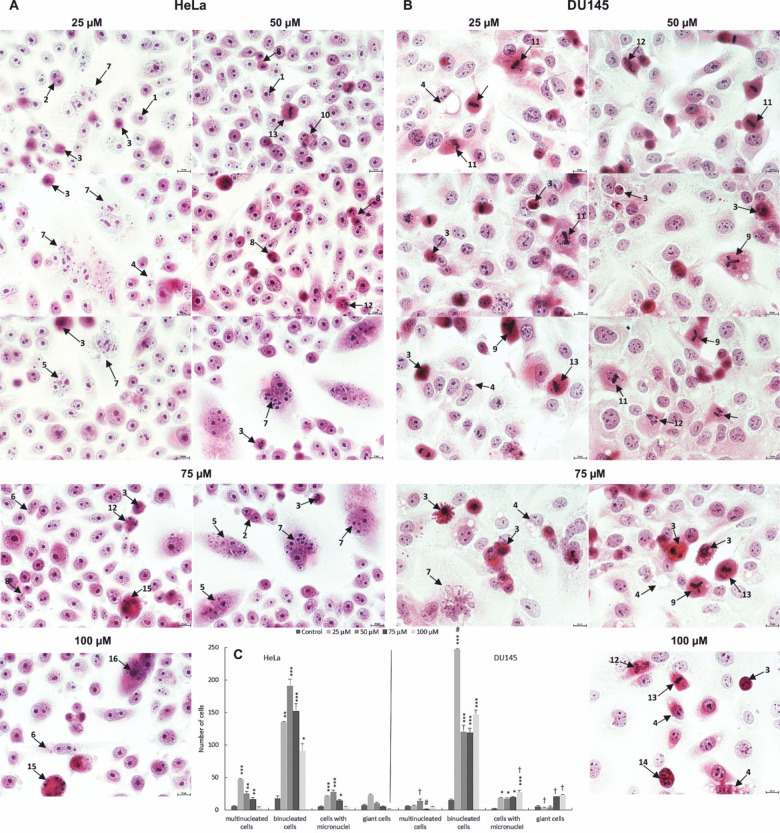 Fig. 8