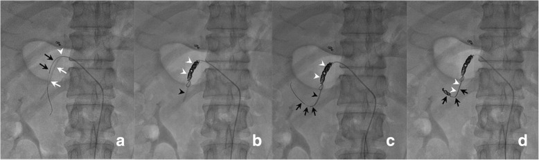 Fig.4