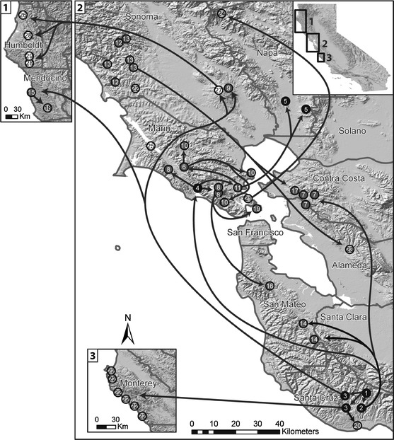 Fig. 1