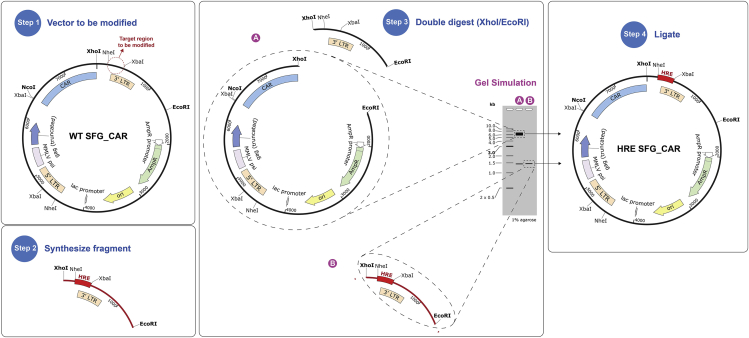 Figure 1