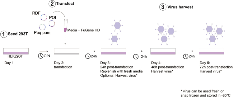 Figure 5