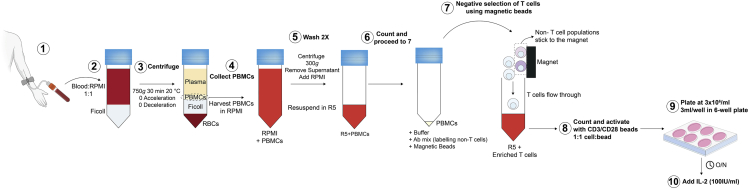 Figure 6