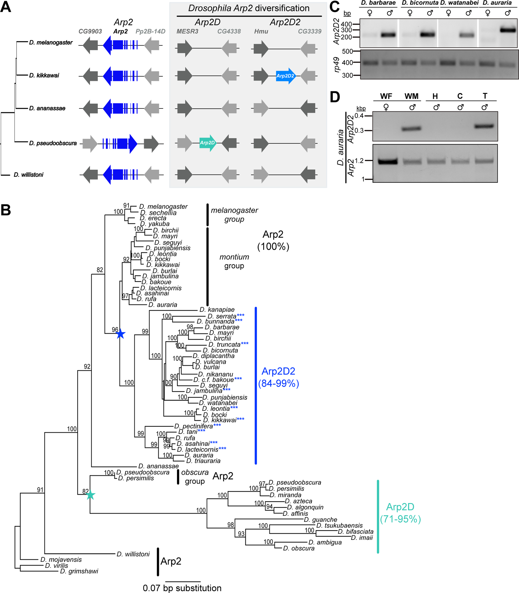 Figure 1: