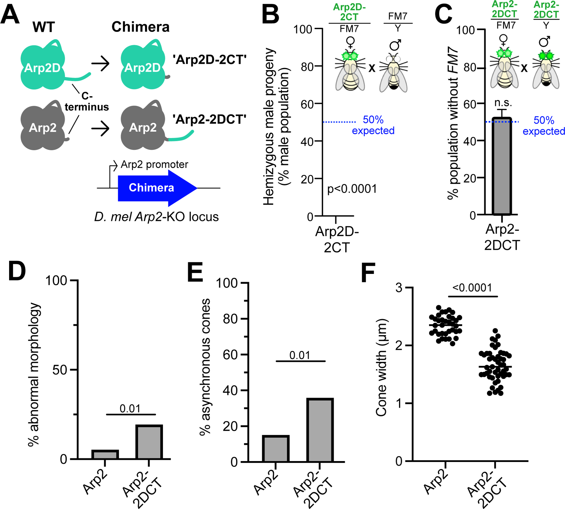 Figure 6: