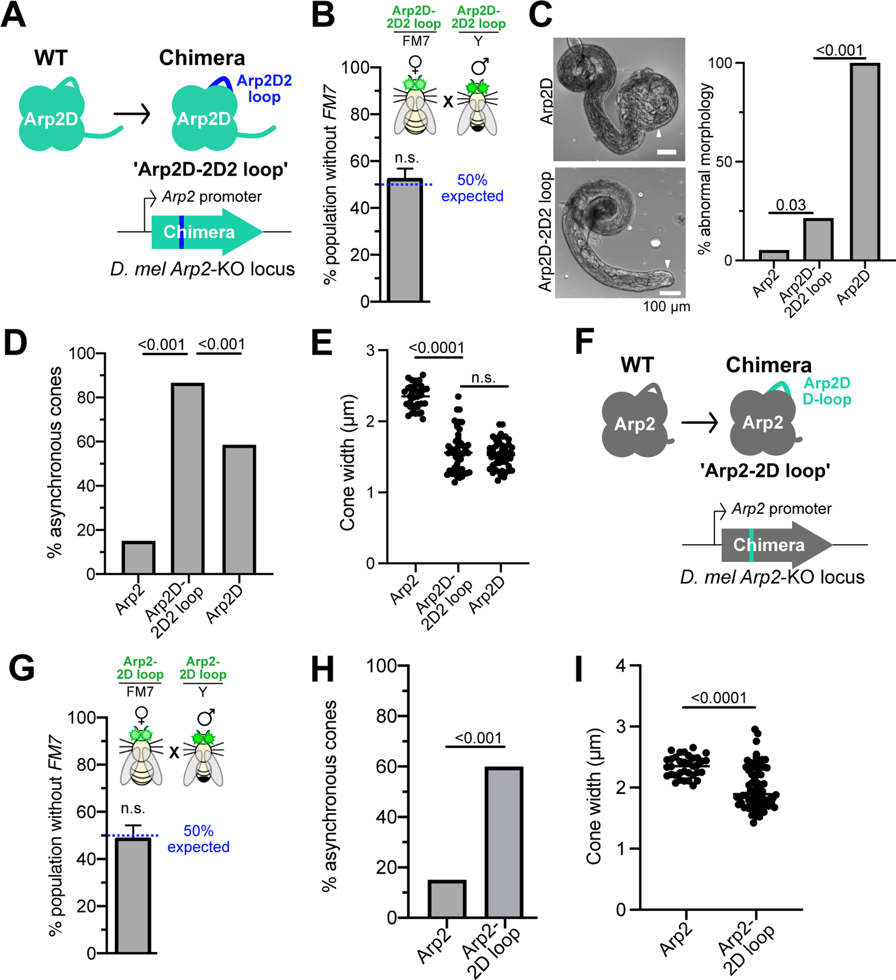 Figure 5: