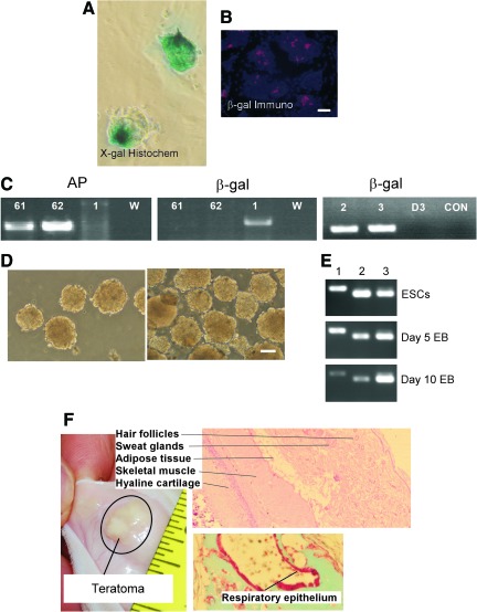 FIG. 3.