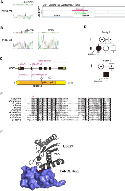 Figure 1