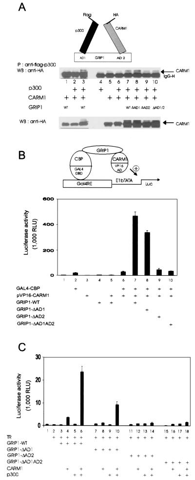 FIG. 2.