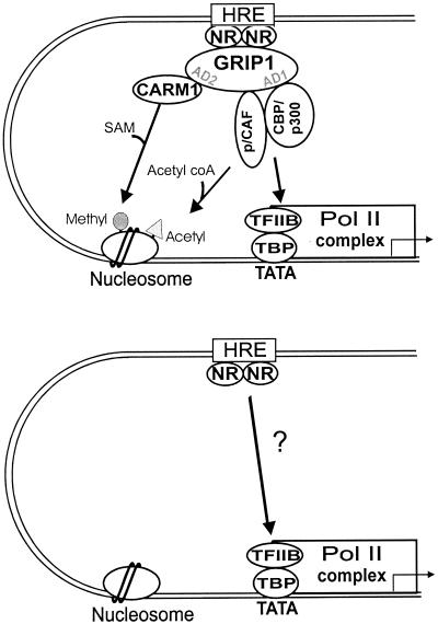 FIG. 7.