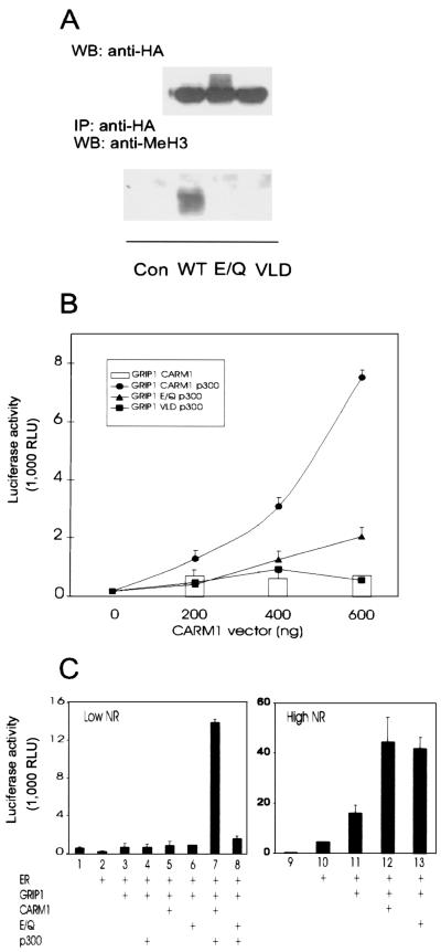 FIG. 5.