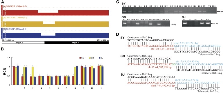 Figure 2