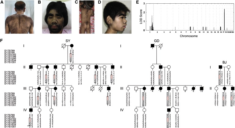 Figure 1