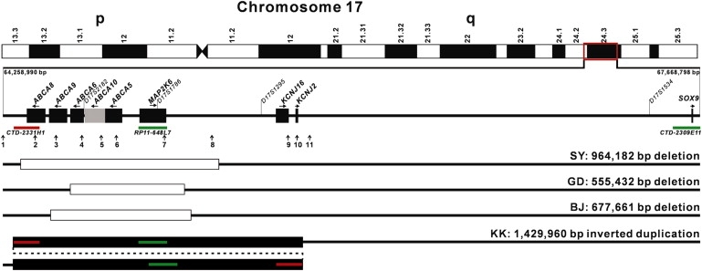 Figure 4