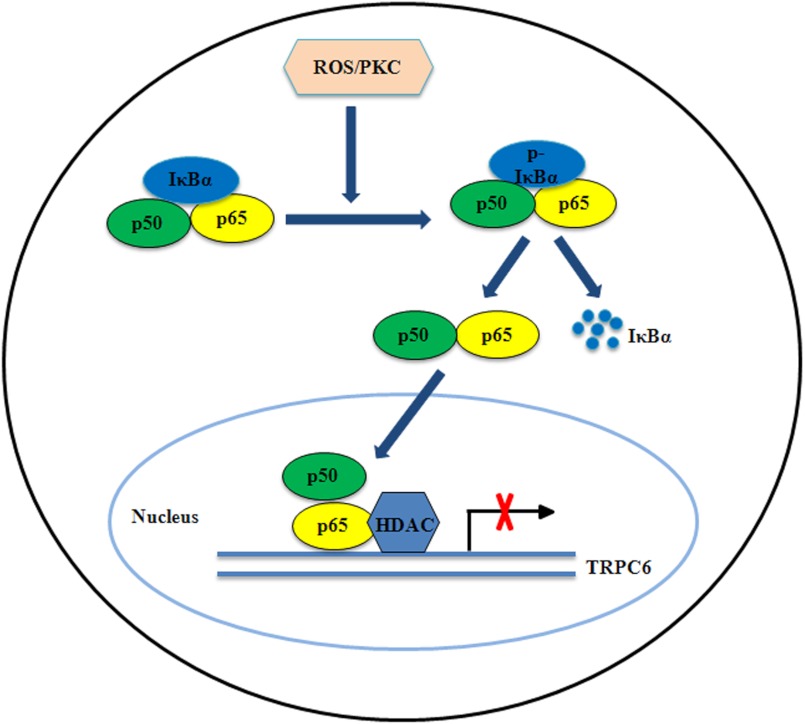 FIGURE 12.