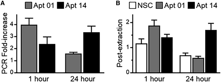 Figure 3