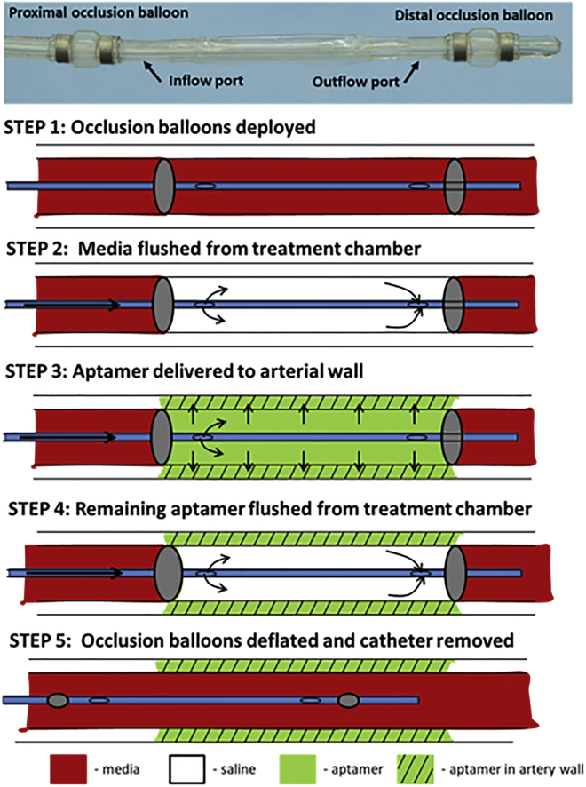 Figure 4