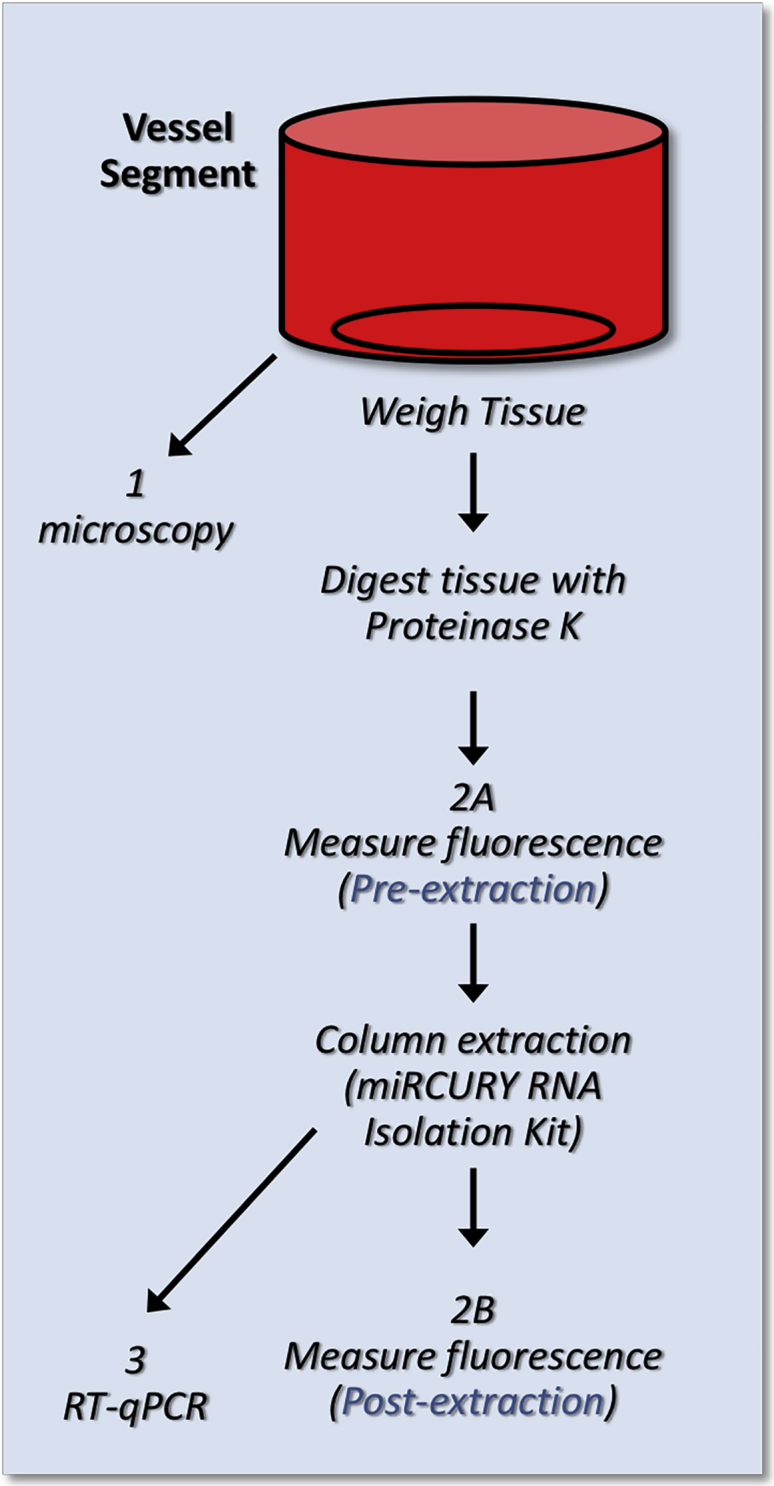 Figure 5