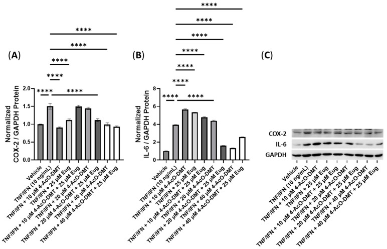 Figure 12