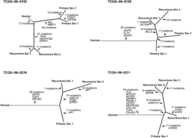 Figure 6.