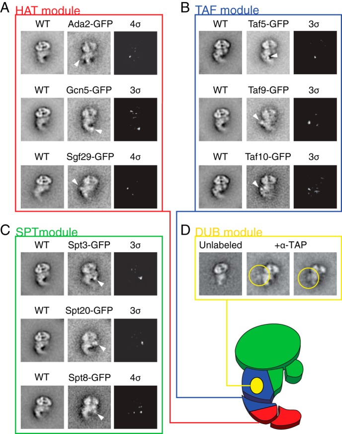 FIGURE 4.