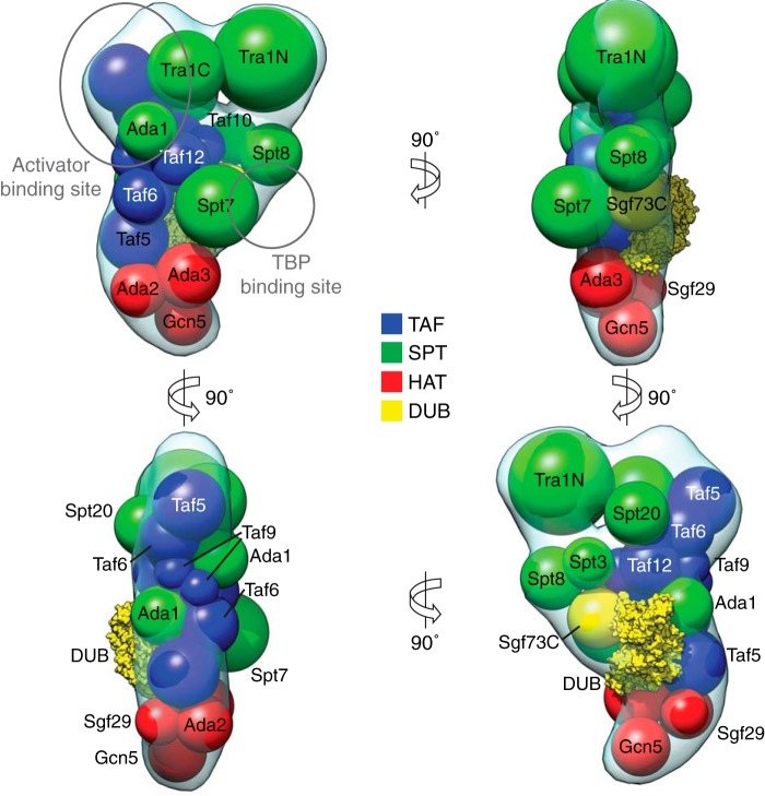 FIGURE 7.