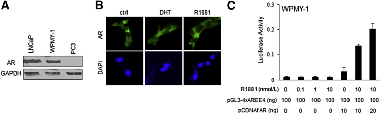 Figure 3