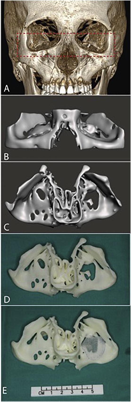 Fig. 3