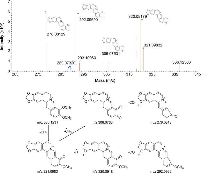 Fig. 4