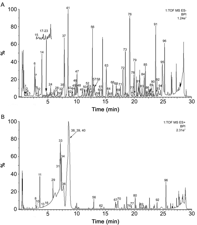 Fig. 1