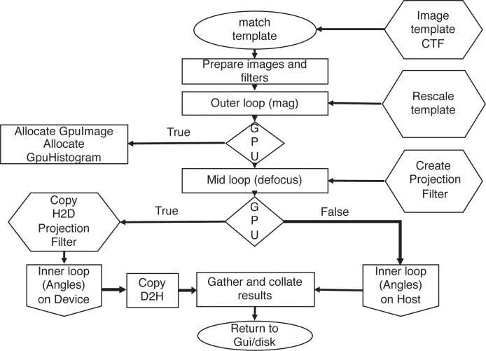 Figure 1—figure supplement 1.