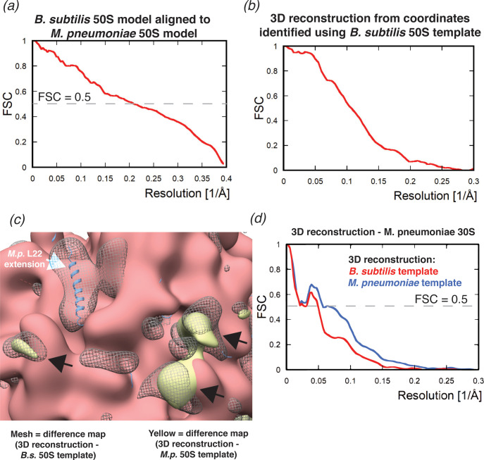 Figure 4—figure supplement 1.