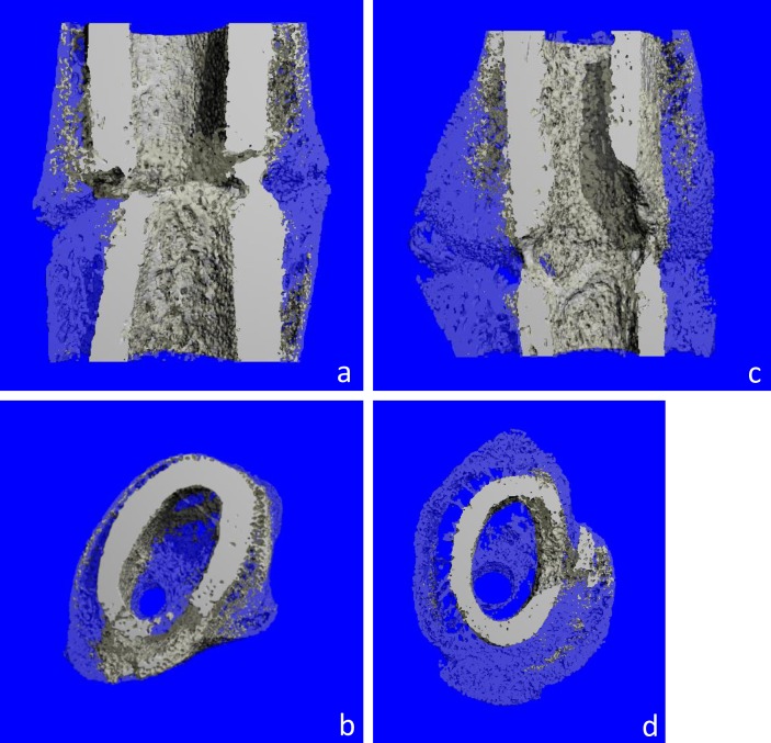 Fig 5