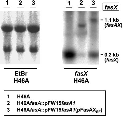 FIG. 7.